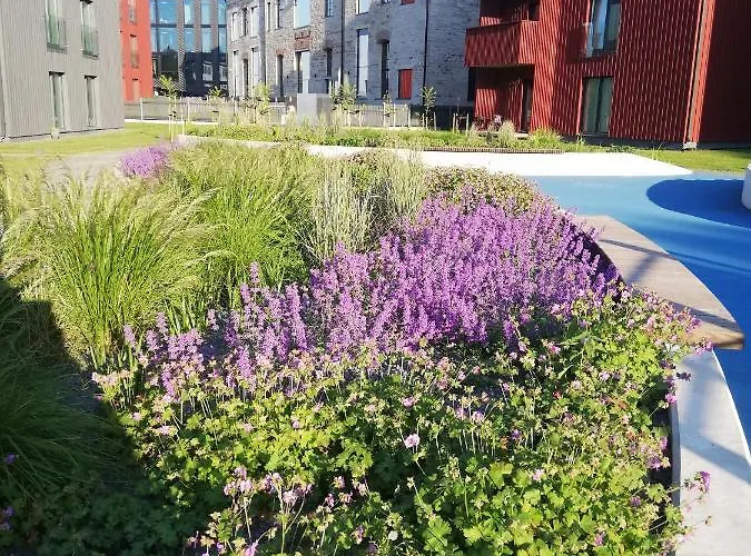 Vp Kalamaja With Garage * 塔林