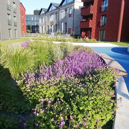 Vp Kalamaja With Garage * Reval